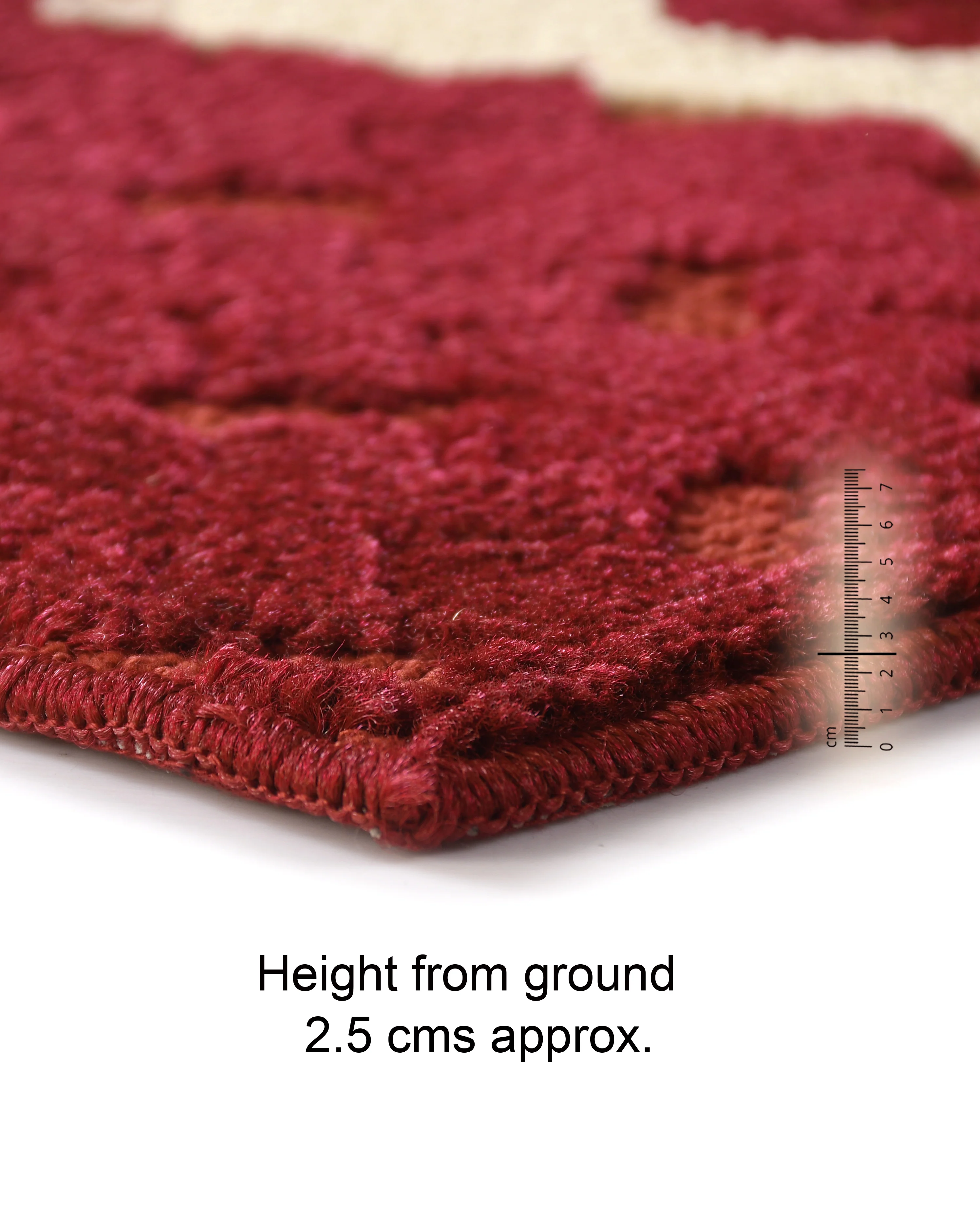 PADUKA Strong Anti-Slip Door Mat – 40x60 cm | Elegant Design with Non-Slip Backing - Image 10