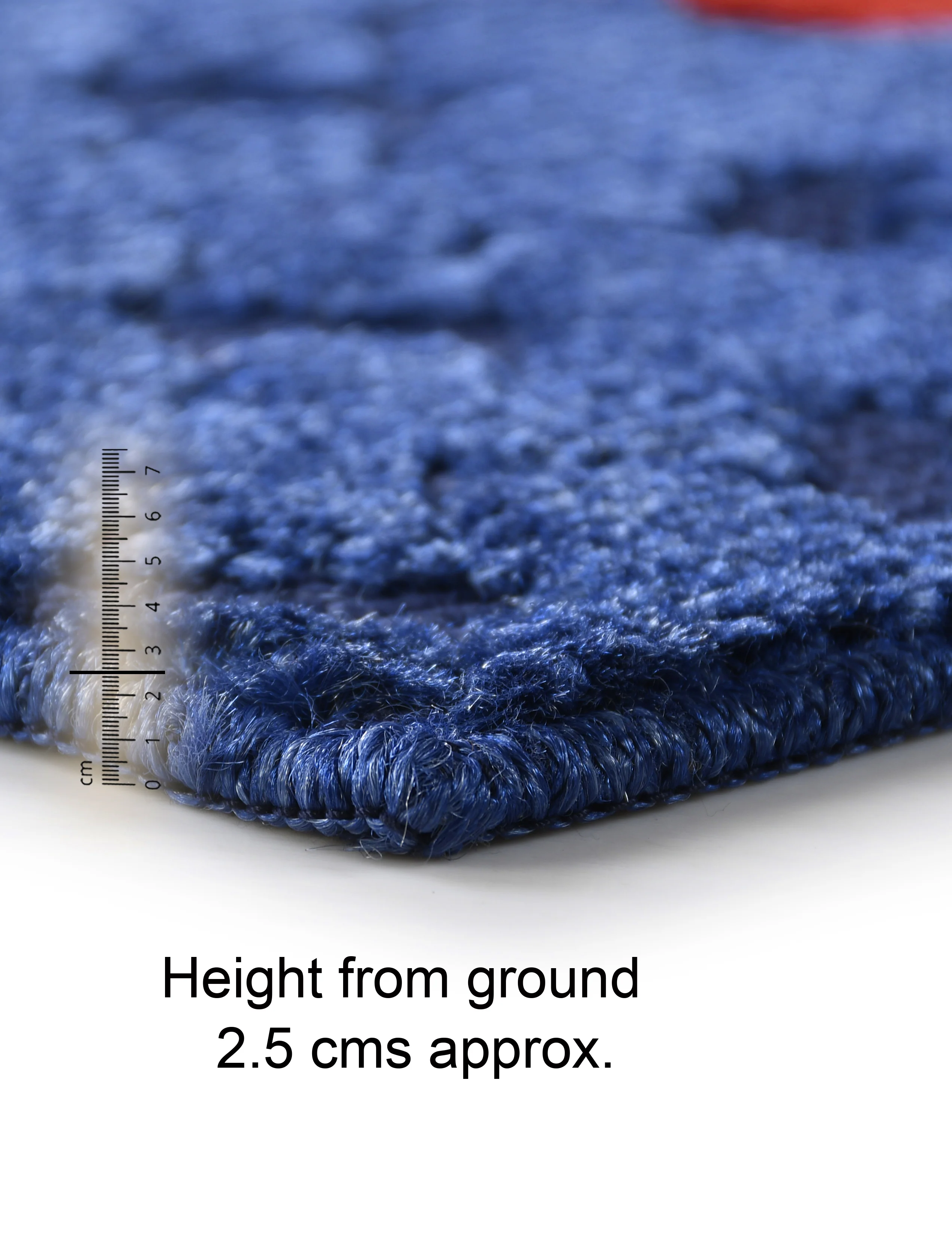PADUKA Strong Anti-Slip Door Mat – 40x60 cm | Elegant Design with Non-Slip Backing - Image 14