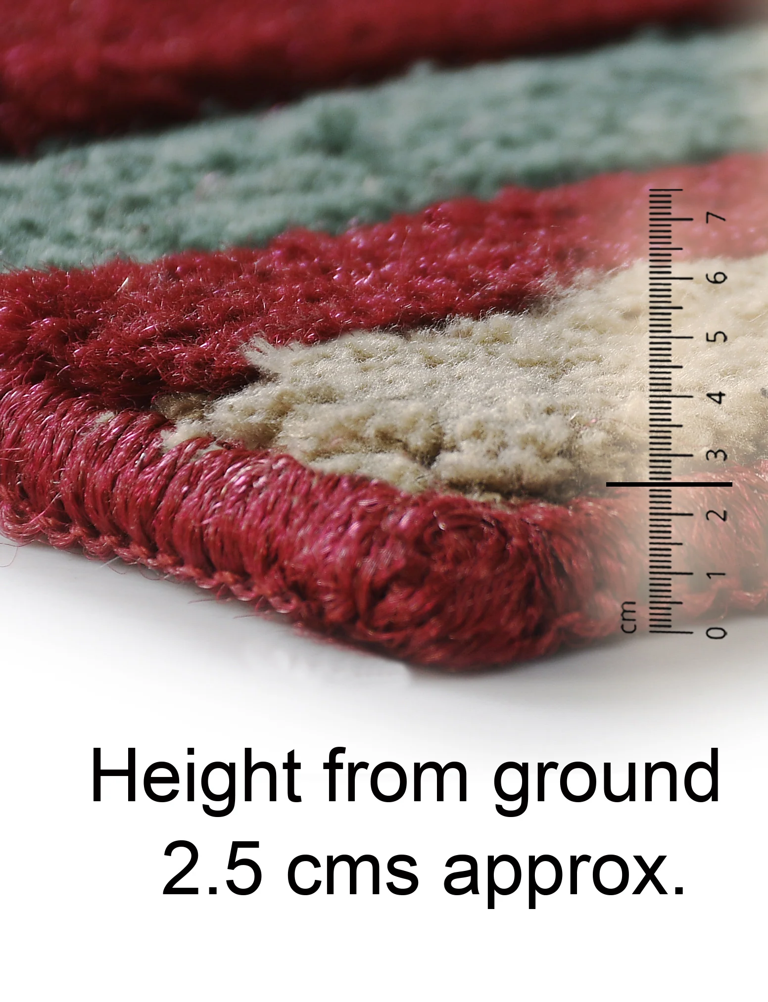 Two Poles Strong Washable Antiskid Doormat | Dual-Design Surface with Firm Rubber Grip - Image 8