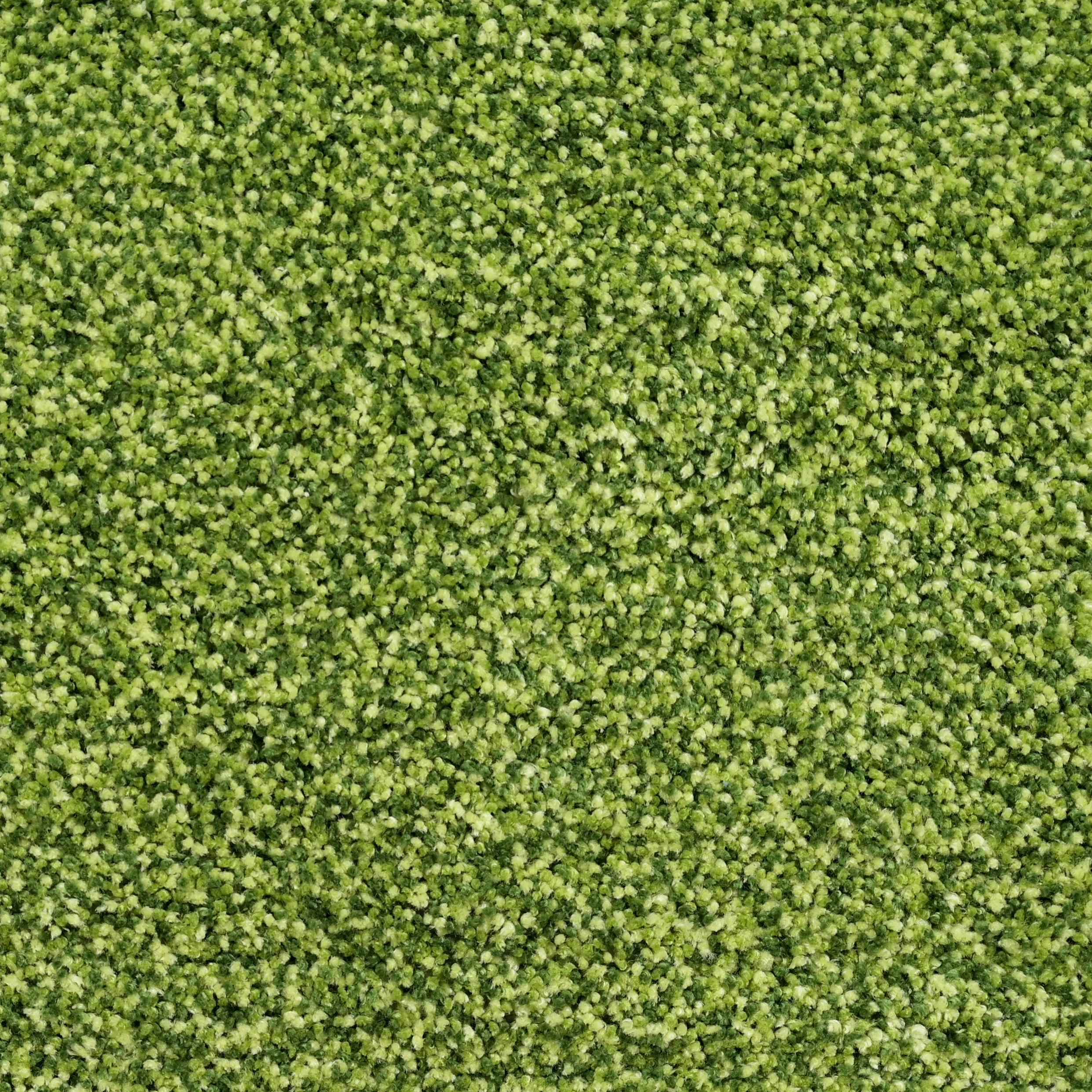 SOC-227 Microfiber Anti-Skid Bath Mats |Water Absorbing Mat | Washable Quick Drying Footmat | Home, Bathroom, Bedroom, Kitchen | Solid Floor Mat - Image 23