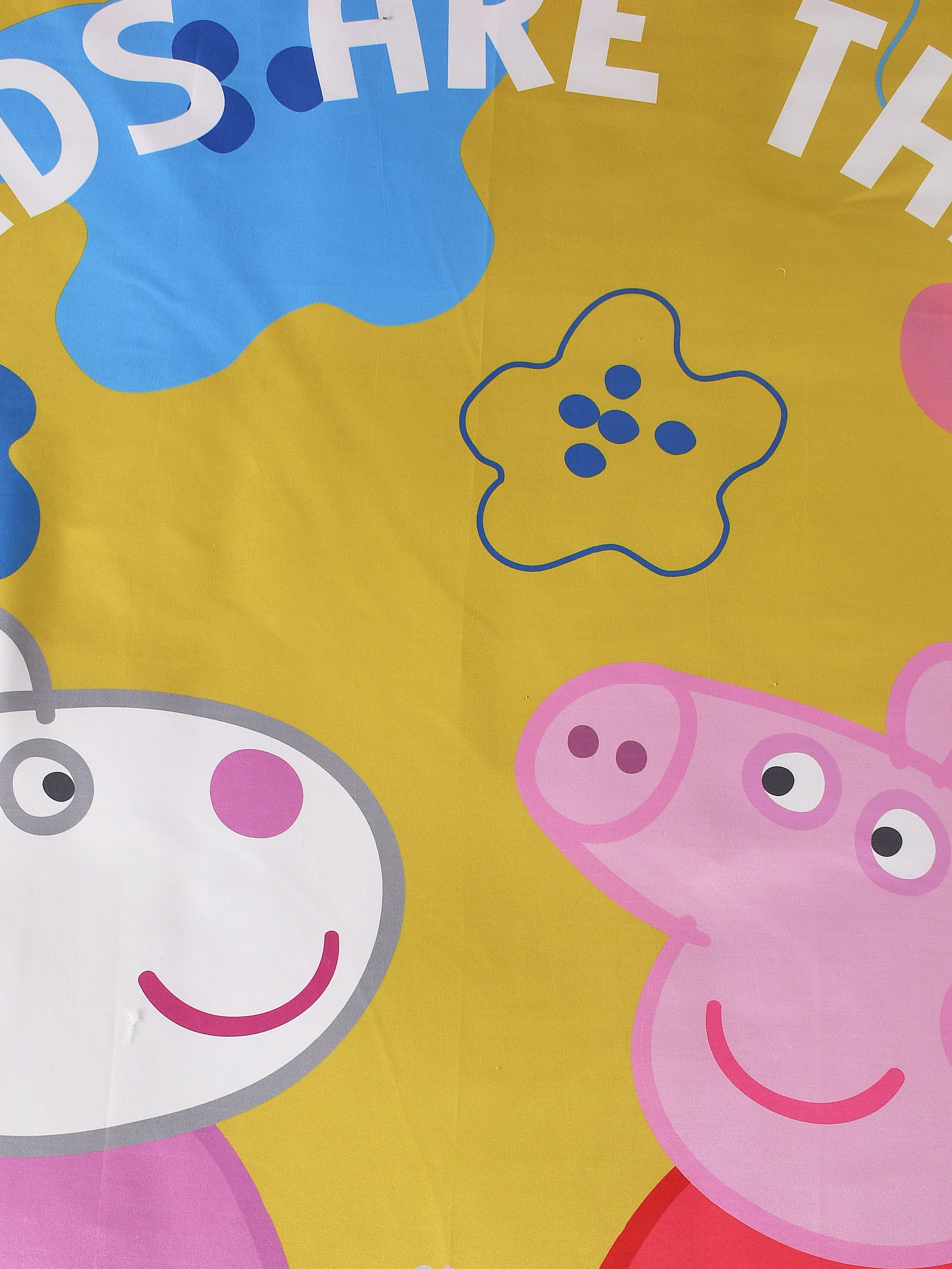 Peppa Pig Single Size Bedsheet | Cotton with 1 Pillow Cover (60x90 cm, 17x27") - Image 3