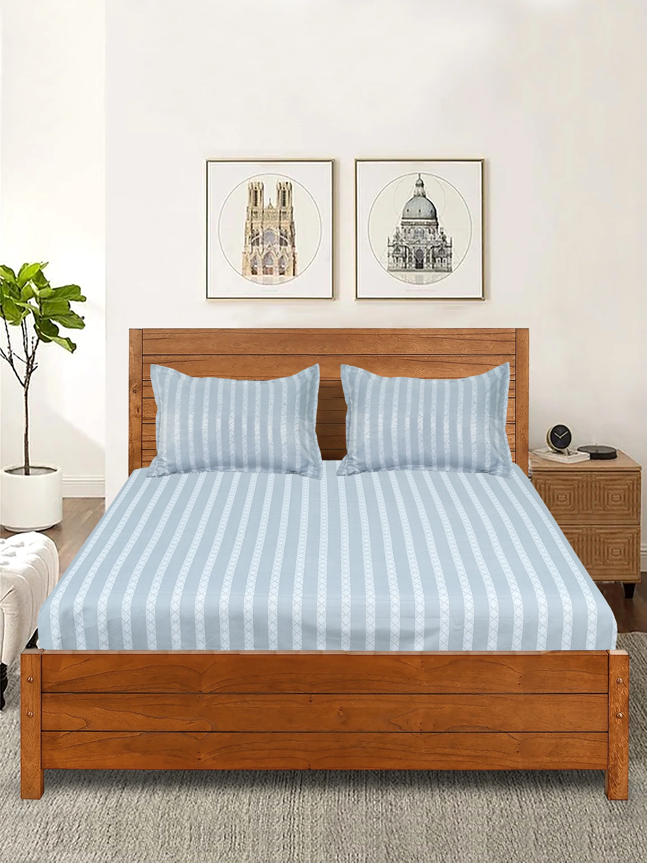 CACI Soft Cotton Bed Sheet with 2 Pillow Covers | Everyday Comfort
