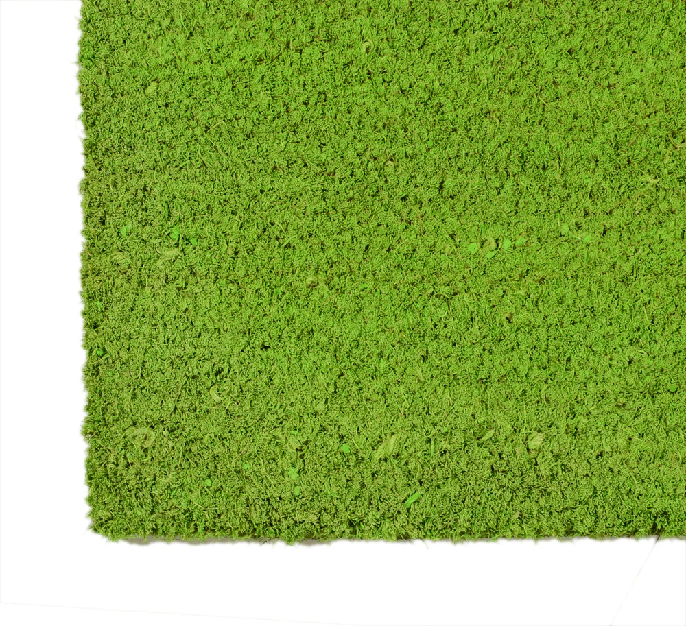 Solid Coir Door Mat – Classic Minimal Design - Image 8