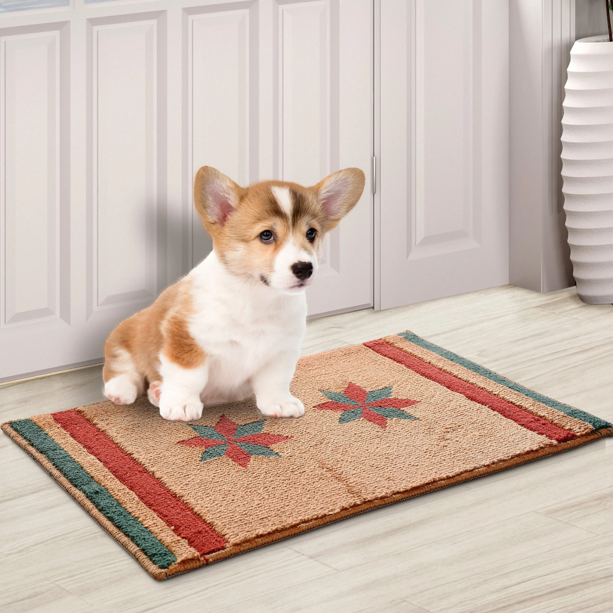 TWO POLES Anti-Slip Door Mat | Durable & Washable | 40x60 cm - Image 6